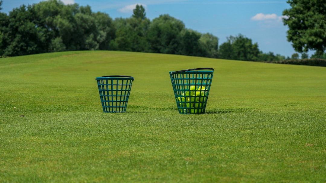 Screen Golf