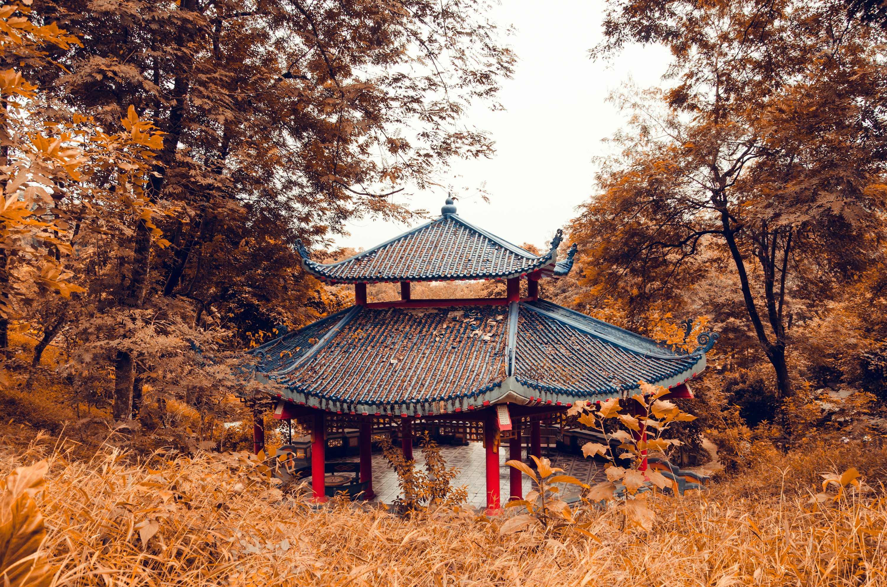 따뜻한 마음을 전하는 추석인사 문구 총정리