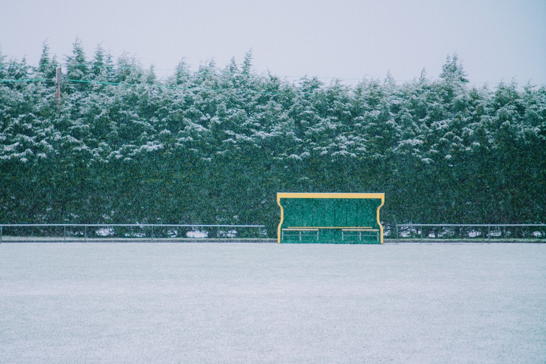 Substitution.