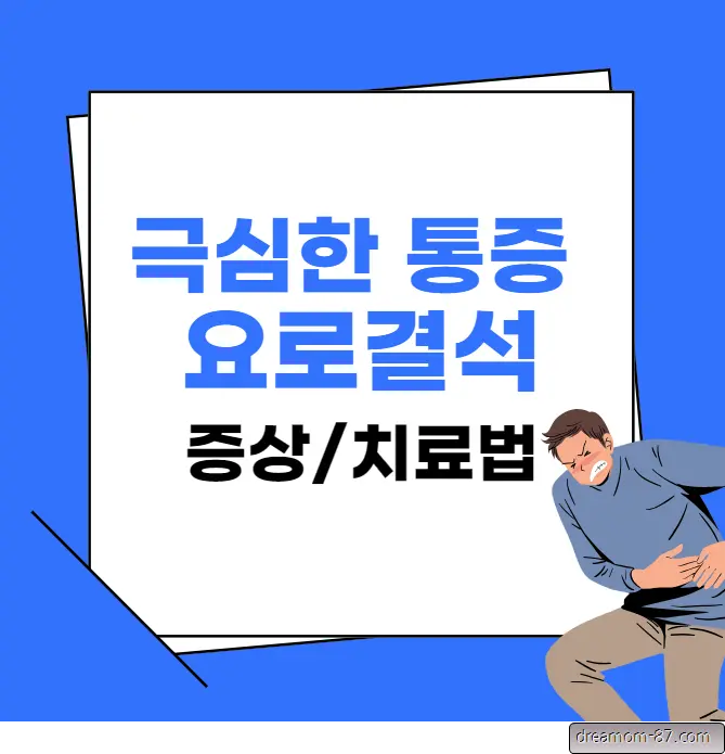요로결석 증상