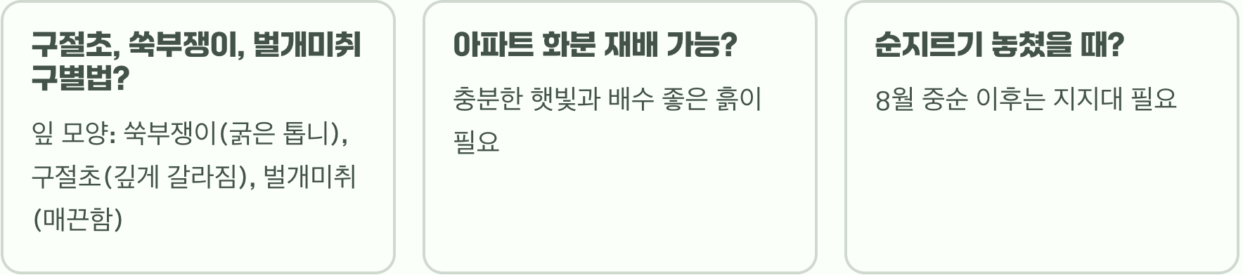 초보 가드너도 성공! 쑥부쟁이 씨앗 파종부터 월동까지 완벽 재배 가이드