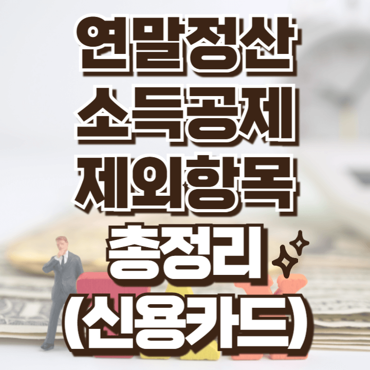 연말정산 소득공제 제외항목 총정리(신용카드)