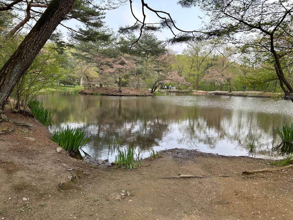 호수