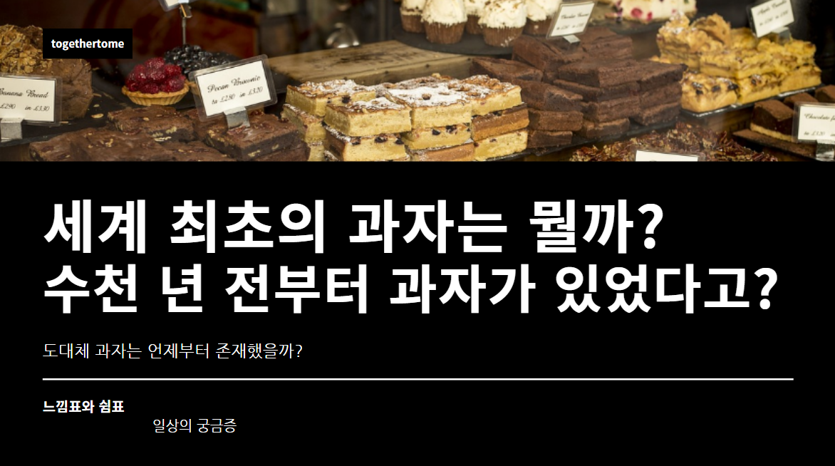 세계 최초의 과자는 뭘까? 수천 년 전부터 과자가 있었다고?
