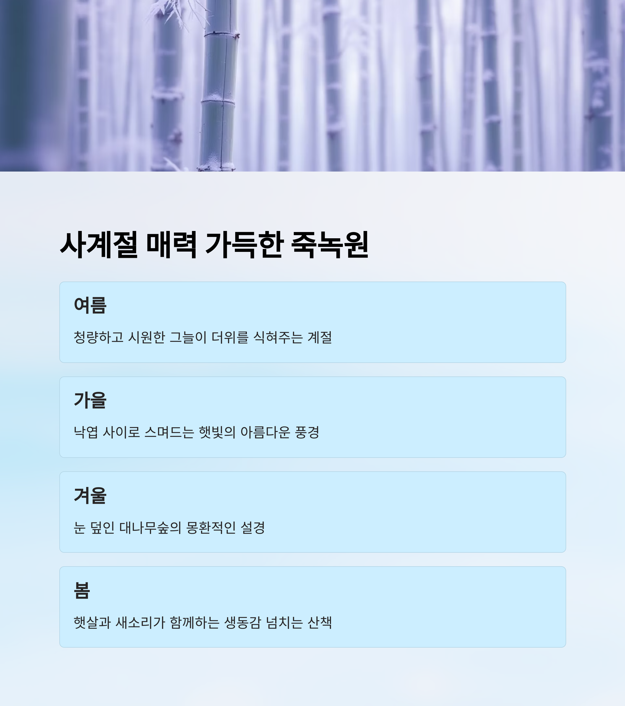 담양 죽녹원에서 만나는 대나무숲의 고요한 힐링 여행