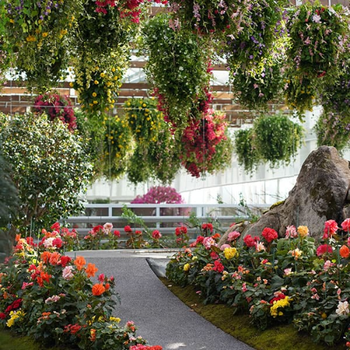 가평 베고니아새정원