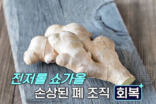 니코틴 배출 음식 생강 니코틴배출기간