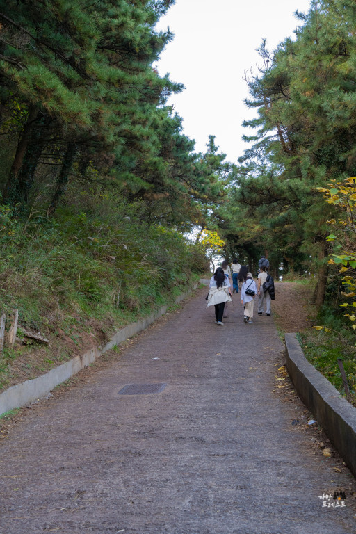 금오름 올라가는 길