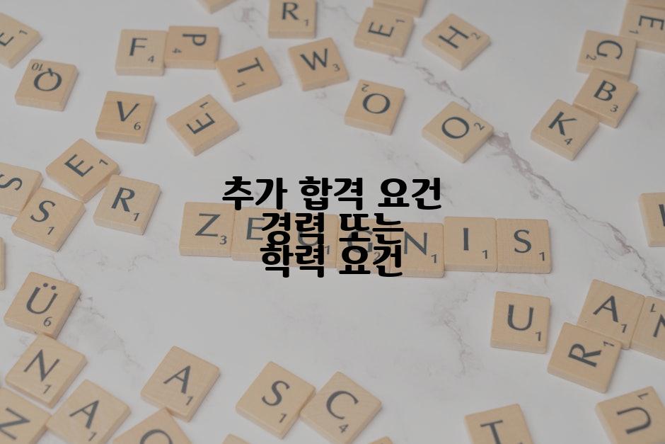추가 합격 요건 경력 또는 학력 요건
