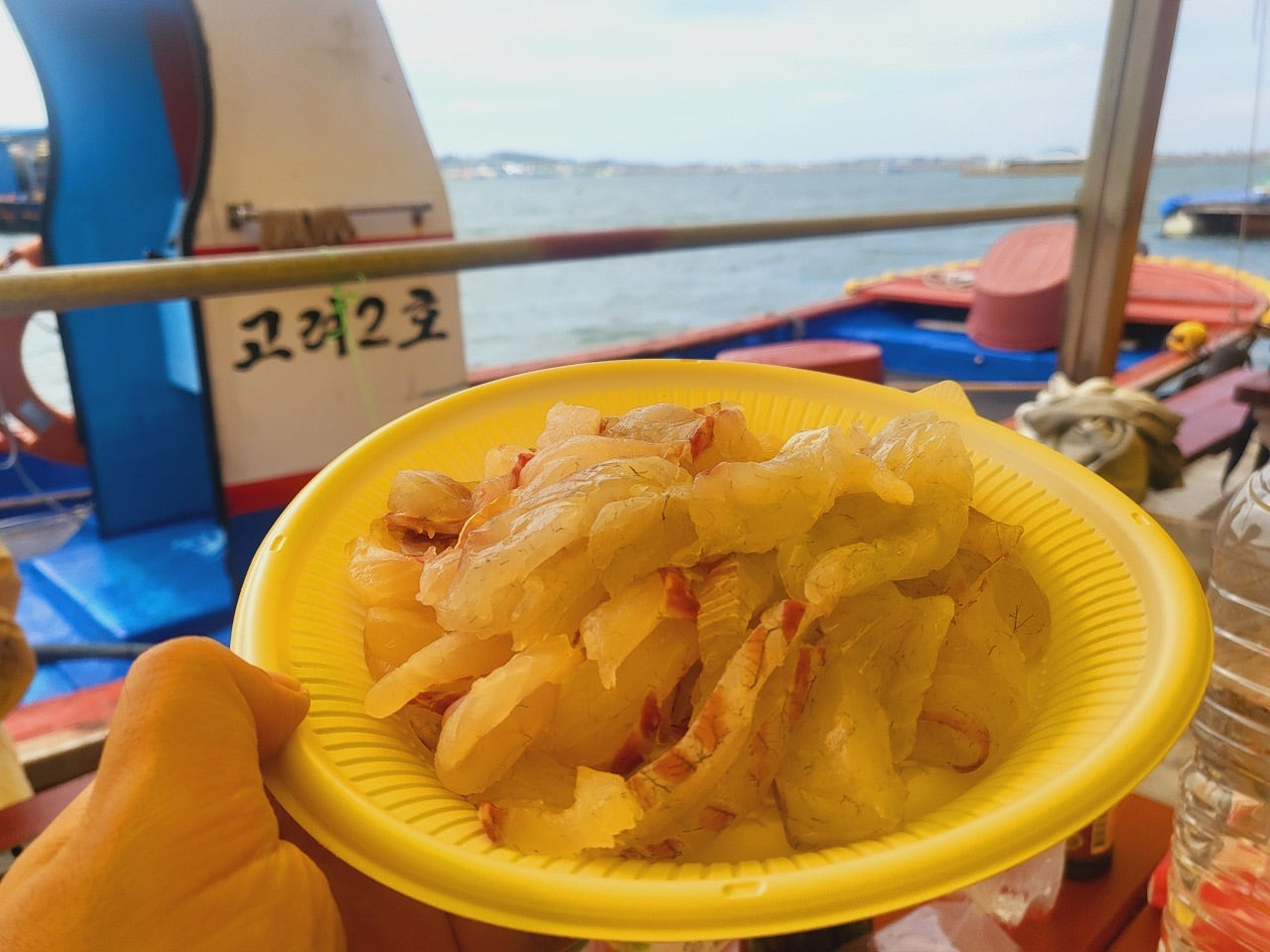 서해가볼만한곳 당진 서산 고려호 좌대 낚시 쇼핑몰 낚시대 없이 이용 가능 아이와가볼만한곳 충남가볼만한곳 아이랑갈만한곳 이색데이트 대한민국구석구석 물때표