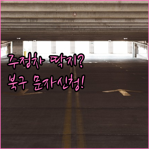 광주 북구 주정차 문자 알림 서비스 ..