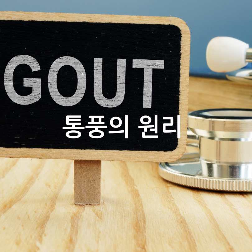 통풍과단백질보충제관계