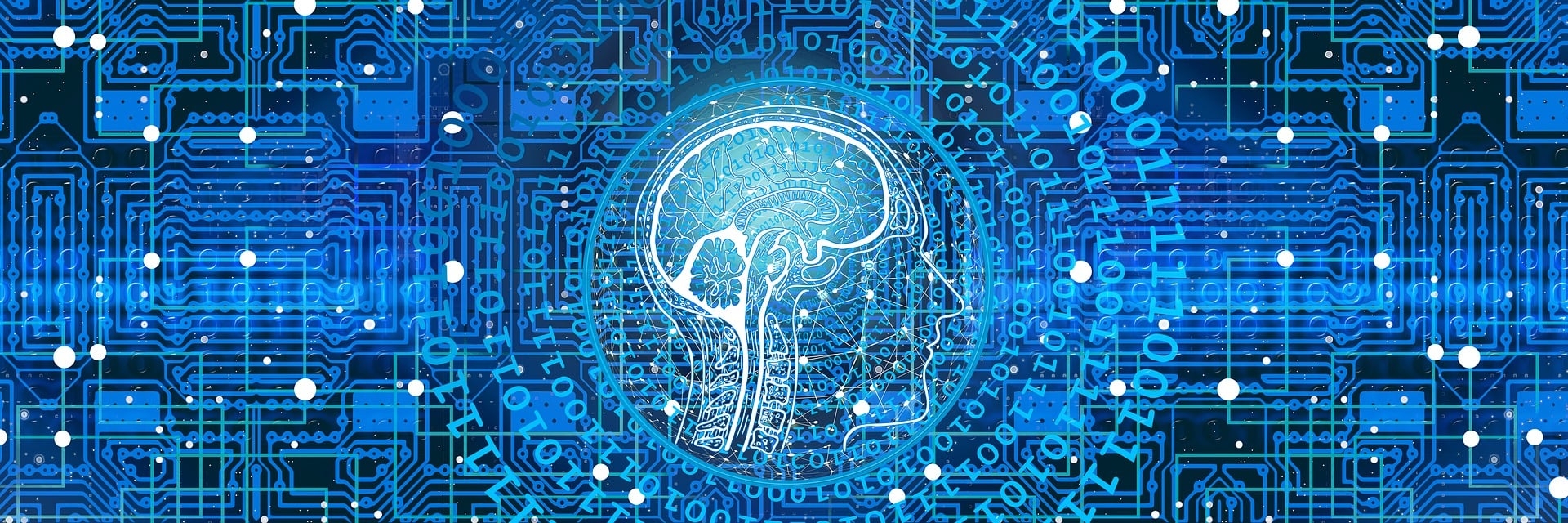 AI 시대와 데이터 아키텍트, 디지털 미래 기술을 상징하는 푸른 빛의 회로와 뇌 형태의 디지털 그래픽 이미지
