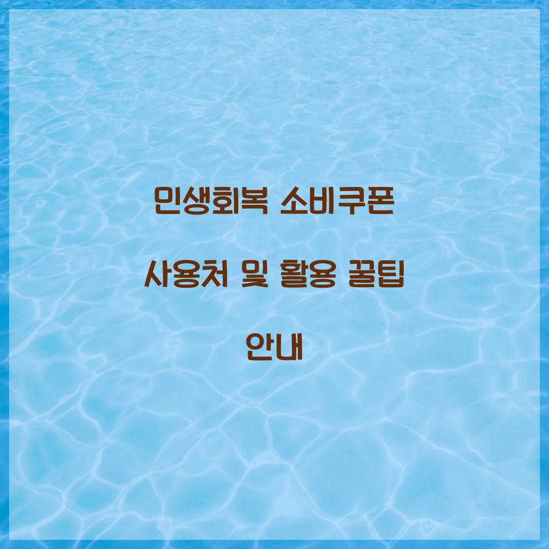 민생회복 소비쿠폰 사용처