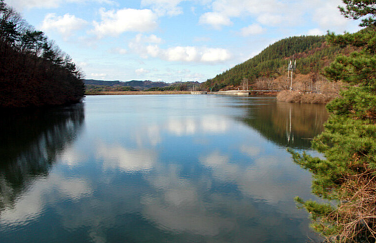 속리산 말티재 자연휴양림