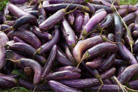 가지-섭취-시-주의사항-및-부작용2