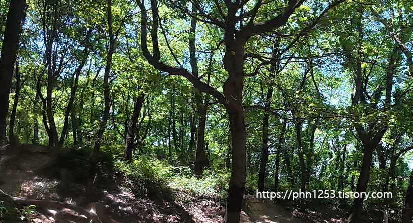 Alt 속성 문제 해결 설명 이미지