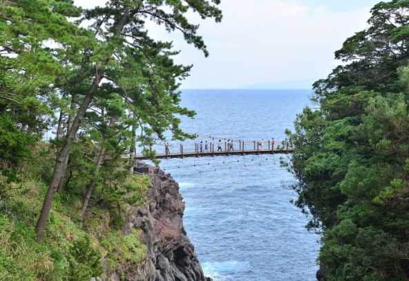 [일본 여행지 추천] 시즈오카 날씨, 위치, 맛집, 쇼핑, 가볼만한곳(후지산, 온천), 료칸