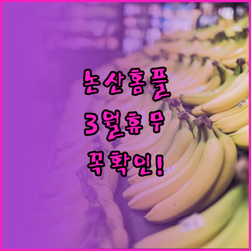 2026년 3월 홈플러스 논산점 장보..