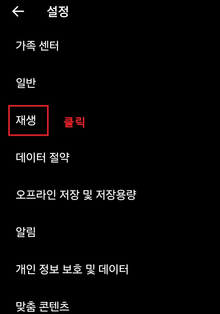 설정 페이지에 재생 메뉴 보임
