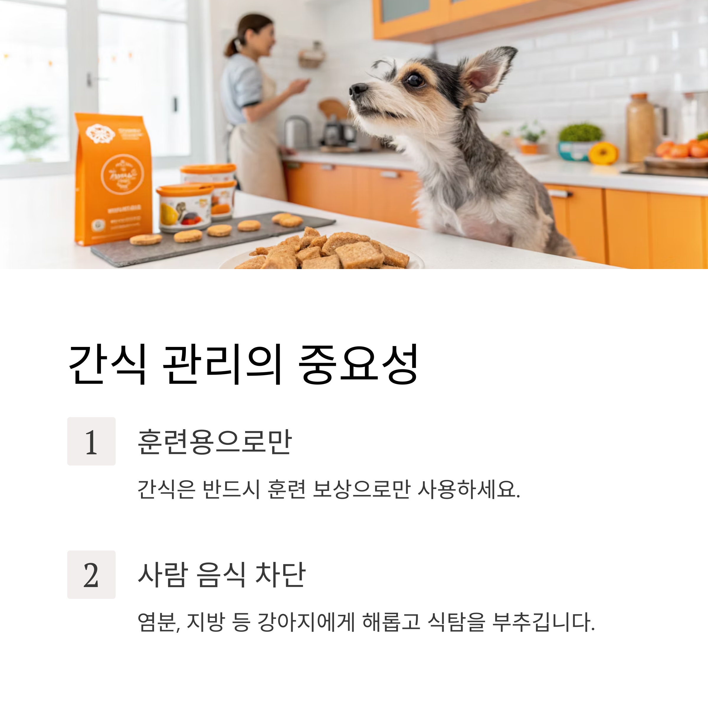간식 관리의 중요성