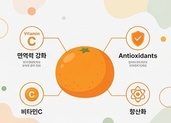 귤과 함께 비타민 C&amp;#44; 면역력 강화 등 건강에 좋은 요소를 시각적으로 표현한 인포그래픽 이미지