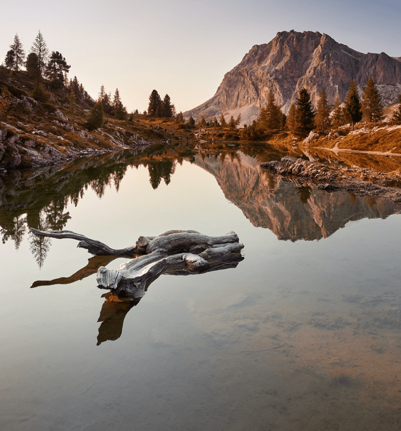 보험을 활용한 리스크 분산 전략