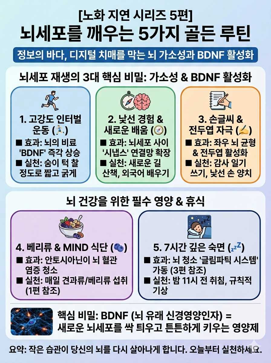 뇌세포를 깨우는 5가지 골든 루틴 인포그래픽