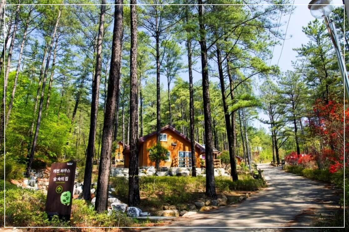 광양 가볼만한곳 베스트10 백운산 자연휴양림