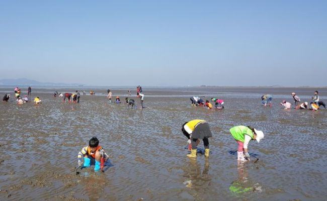 영암어촌계 체험마을