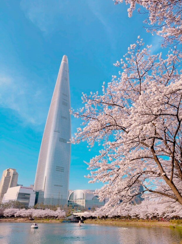 꽃가루 알레르기