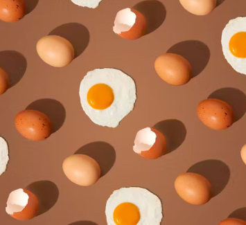 단백질 많은 음식 식물성 동물성