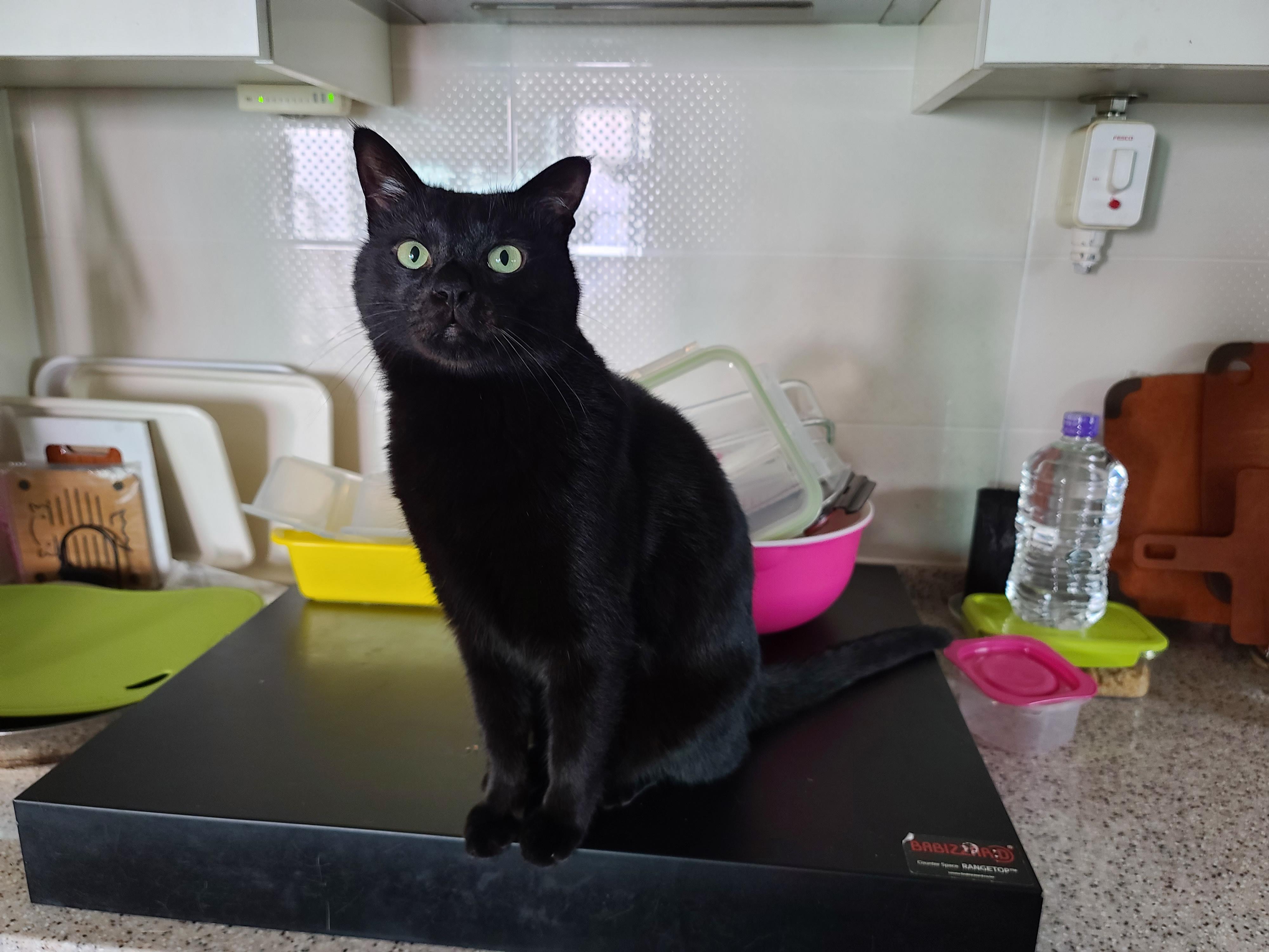 사랑스러운 스토커 건! (feat. 건이 콧구멍 ㅋㅋ)