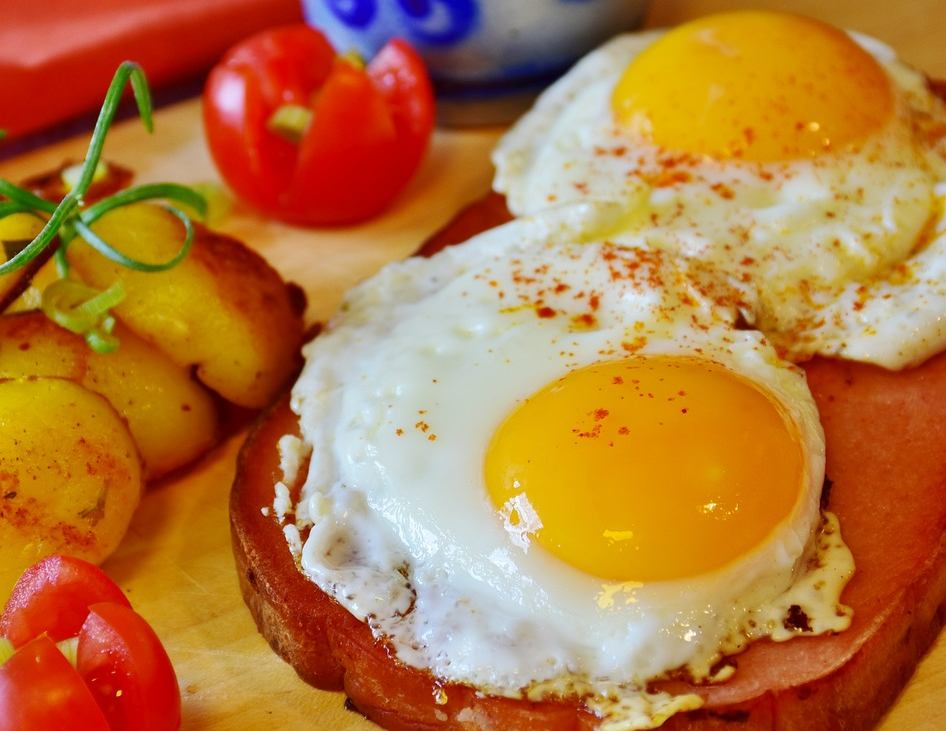계란(달걀) 식단
