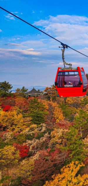 목포 해상케이블카 요금