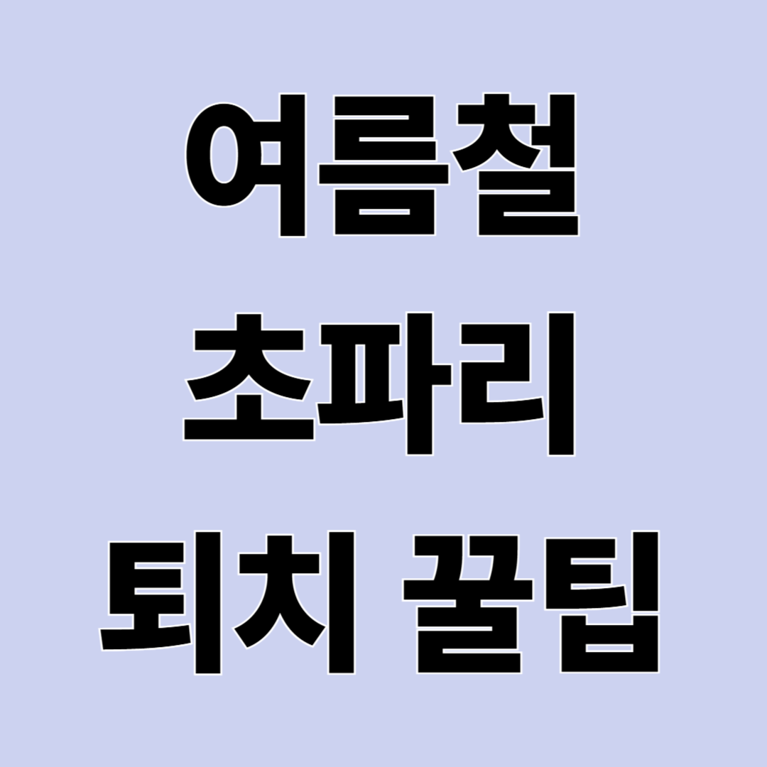 초파리 생기는 이유와 퇴치법 &ndash; 여름철 집안 초파리 없애는 방법