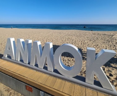 아름다운 안목해변1