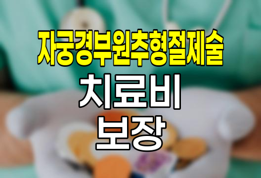 메리츠화재 자궁경부원추형절제술 치료비 보장 분석