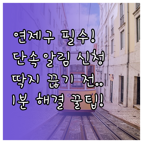 연제구 주정차단속알림 문자 서비스 신..