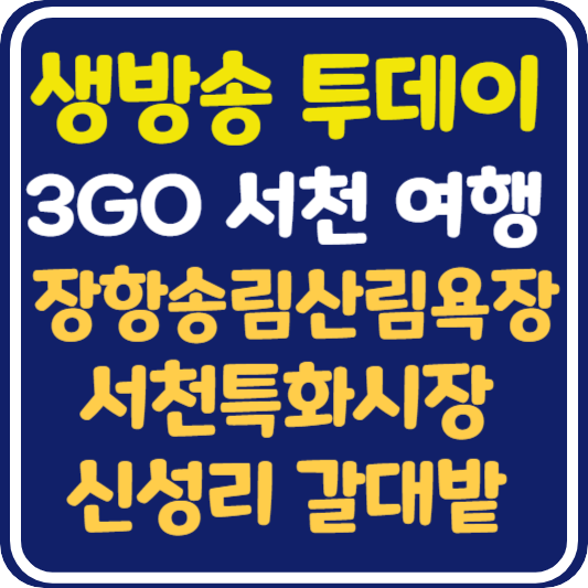생방송 투데이 서천 장항송림산림욕장 서천특화시장 신성리갈대밭 : 서천3GO