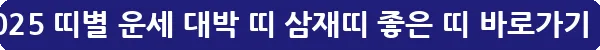 2025 띠별 운세 대박 띠 삼재띠 좋은 띠_1