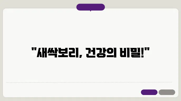 새싹보리의 효능과 부작용