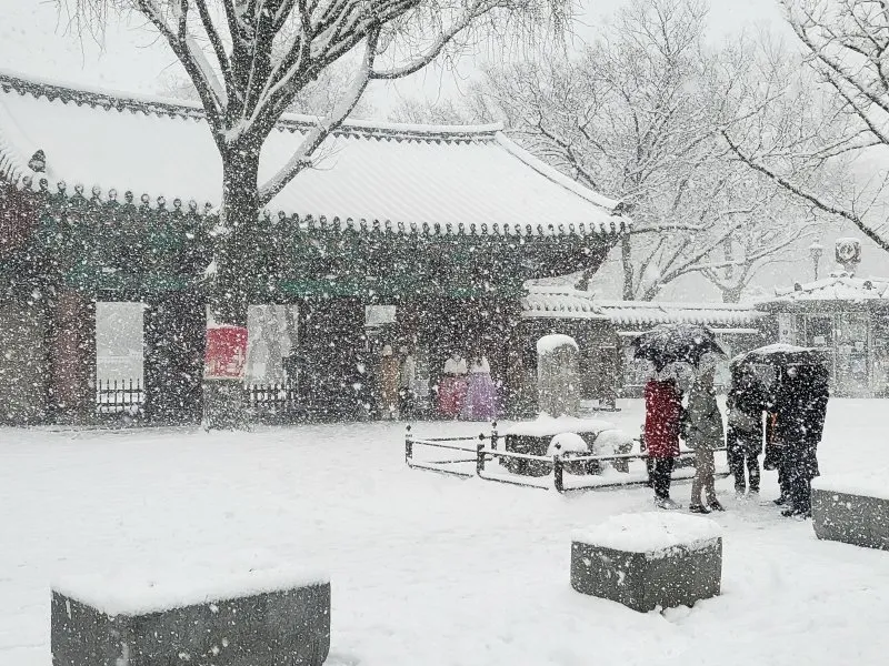 전주 한파 경보 아침 출근 길 미끄럼 주의 보행 요령_3