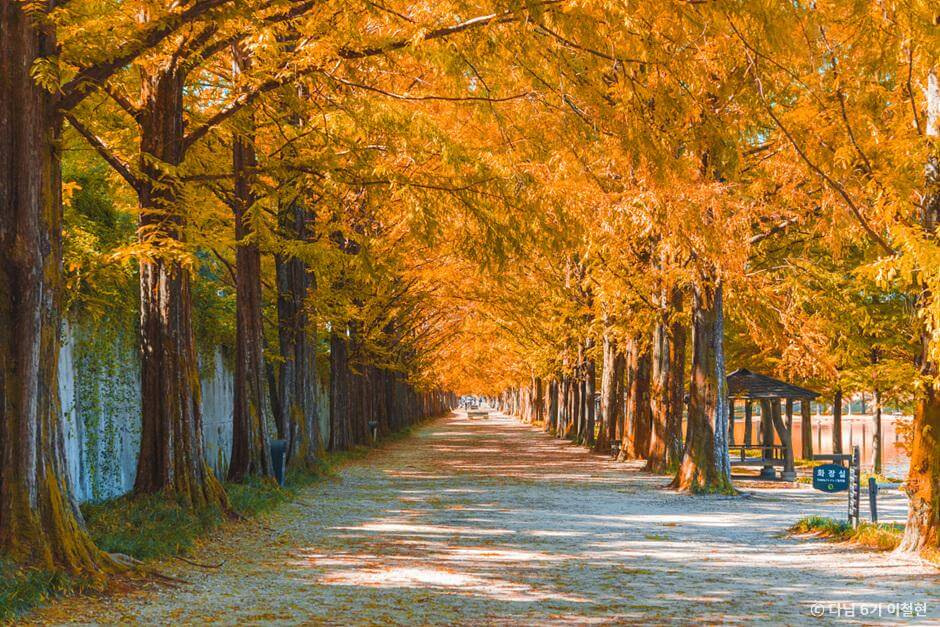 전라도 가을 여행지 추천 : 단풍으로 물든 힐링 코스 10선 (2025 최신판)