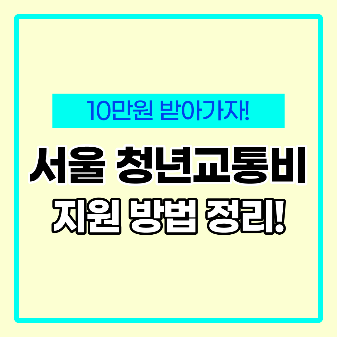 서울 청년 대중교통비