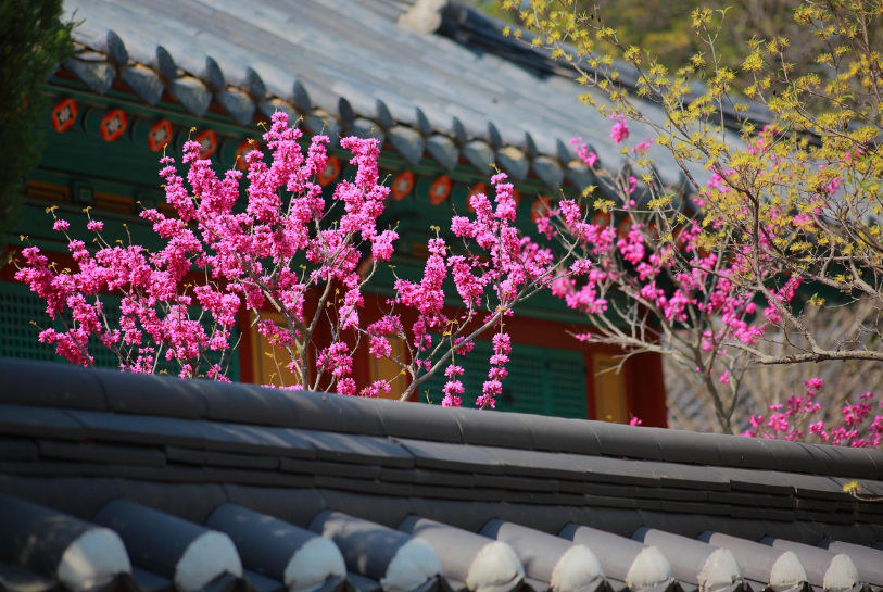 전주 한옥마을, 전통과 현대가 어우러진 여행지