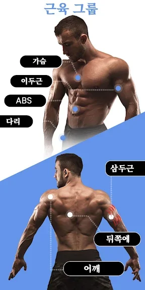갤럭시 홈트레이닝 어플 추천 앱-31 갤럭시 홈트레이닝 어플 추천 앱-31