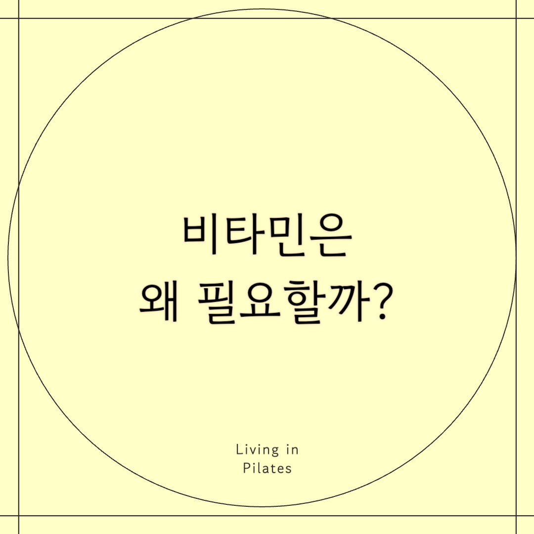 비타민은 왜 필요할까