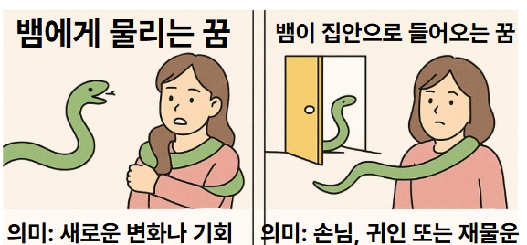 뱀 꿈해몽 만화 2컷
뱀에게 감겨서 물리는 여자1
배미 집안으로 들어오는 모습1