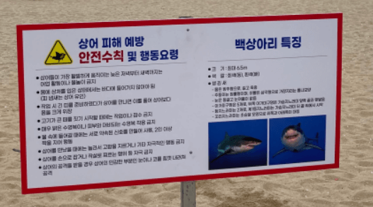 속초 해수욕장에 설치된 상어 주의 표지판